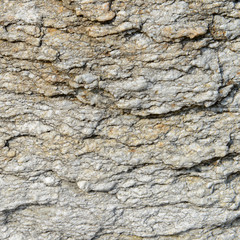 pattern and texture in Stone