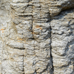 pattern and texture in Stone