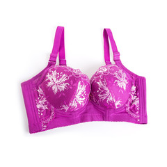 bra or pink colour bra on white background.