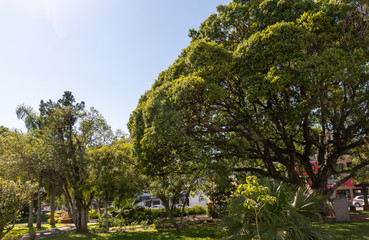 Cityscape in the city of Osorio, RS, Brazil-1.NEF4