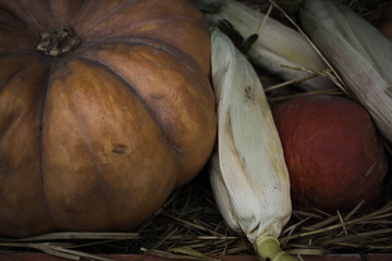 pumpkins of different shapes and colors along with corn are in a wooden box lined with hay ears of corn in the hay. pumpkins lying in the hay orange and red pumpkins in the hay