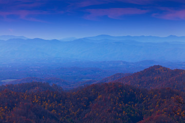 Fototapeta premium Autumn foliage in the forest in a beautiful rural area in Eastern Europe