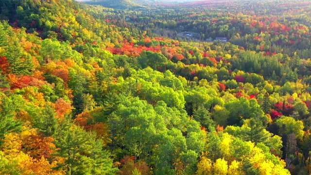 Incomparable Autumn Scenery, Forests and Cliffs of Michigan's Upper Peninsula, Keweenaw Peninsula, Fall Colors, Aerial Drone View.