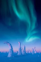 Printed kitchen splashbacks Northern Lights Aurora borealis dancing above snow covered trees in Riisitunturi National Park, Finland