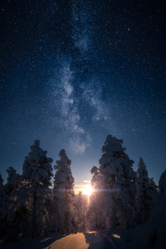Sun shining through snow covered trees with milky way on the sky. This is two image collage.