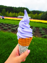 ラベンダーソフトクリーム