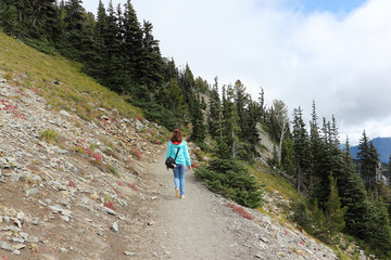 Fototapeta na wymiar Woman climbing a mountain trail near Mount Rainier, Washington State, USA