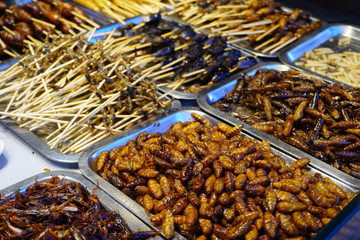 Stall that selling bugs and insect at Lijiang. 