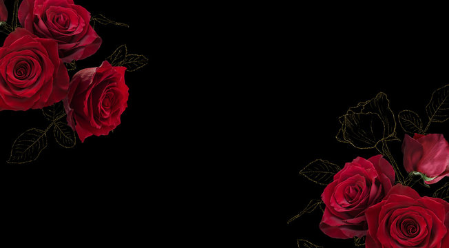 Red roses with golden glitter leaves isolated on black background. Floral banner, cover header with copy space. Natural flowers wallpaper or greeting card.