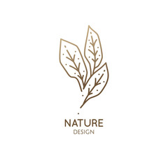 Fototapeta na wymiar Tropical plant logo