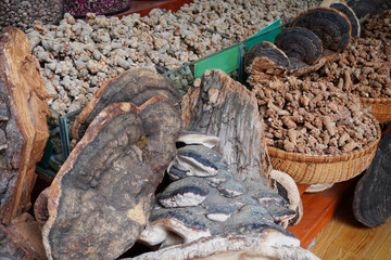 Shop that selling local picked mushroom, fungus and chinese medicine herbs at Lijiang, China.