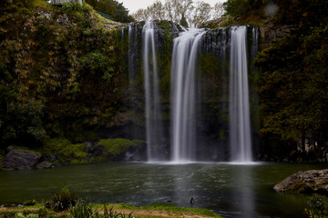 Fototapeta premium Scenes from Whangarei, north of Auckland including the waterfall.