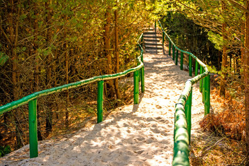 way at the Baltic sea in Poland through dunes