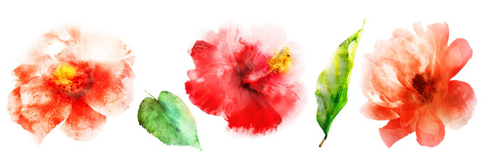 Watercolor flowers with leafs. Set