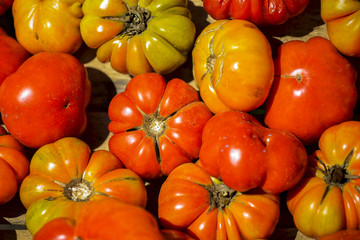 Red and orange pumpkins