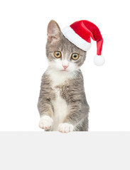 Cat wearing a red christmas hat looks above empty white banner. Empty space for text. isolated on white background