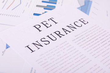 pet insurance, documents on the desktop