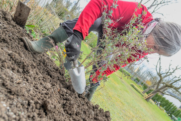 Gartenarbeit in der kalten Jahreszeit