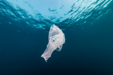 Plastic Pollution in the Ocean - A discarded plastic bag drifting underwater in a tropical ocean
