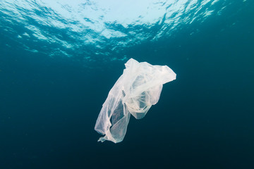 Plastic Pollution in the Ocean - A discarded plastic bag drifting underwater in a tropical ocean