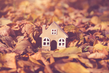 The symbol of the house stands among the fallen autumn leaves
