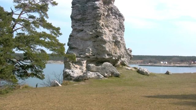 Eroded limestone stack on the coast on the island Gotland in Sweden