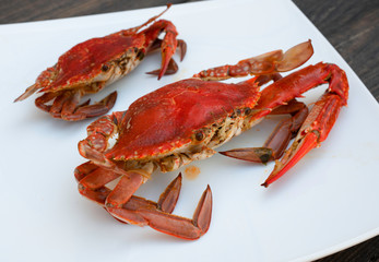 Sea food - boiled red crab on a white background