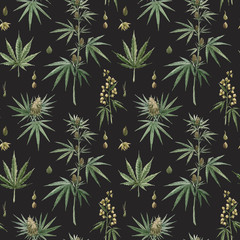 Fototapeta na wymiar Beautiful watercolor medical marijuana seamless pattern. Natural therapeutic drug.