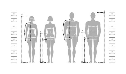 Silhuettes of man and women in full length with measurement lines of body parameters.