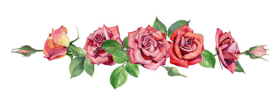 Horizontal frame of watercolor red roses.