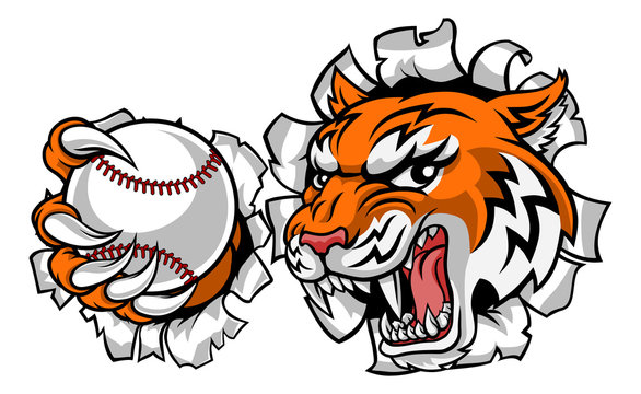 A tiger baseball player cartoon animal sports mascot holding a ball in its claw
