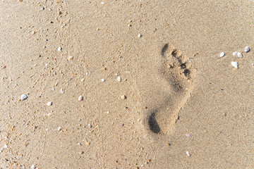 Fototapeta na wymiar Close up footprint in sand on the beach