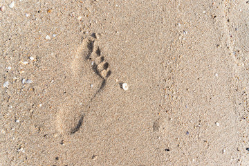 Fototapeta na wymiar Close up footprint in sand on the beach