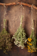Drying medical herbs for use in alternative medicine