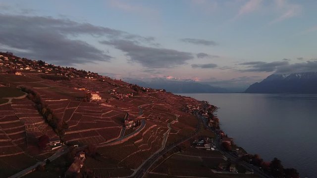 Flying over vineyards in Lutry, Switzerland