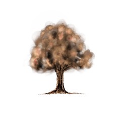 tree isolated on white background