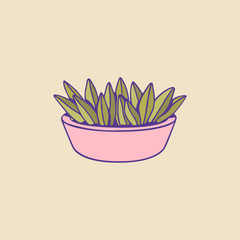 Cute hand drawn houseplant. Vector image for creative design of posters, cards, banners, invitations, websites.