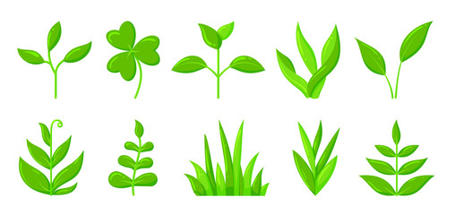 Spring green grass sprout plant cartoon icon set