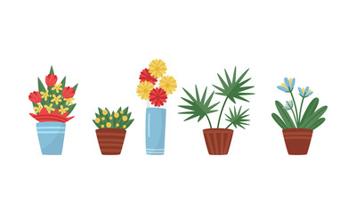 Various Flowers Growing in Pots Vector Set