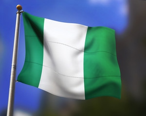 Nigerian Flag in the Wind