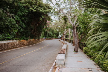 Highway road with tropical trees. Travel Asia