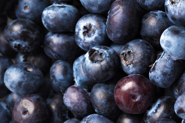 Blueberries isolated on white background.