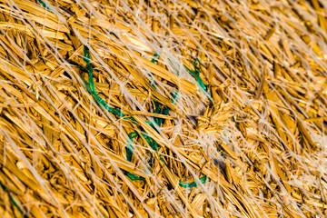 large cylindrical stacks of wheat straw