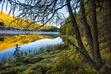 Fototapeta na wymiar Mountain lake panorama with mountains reflection. Idyllic look. Autumn forest. Silvaplana Lake, Switzerland