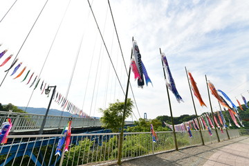 竜神大吊り橋　鯉のぼり祭り