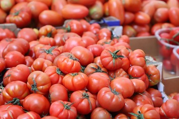 closeup of tomatoes displayed on the market