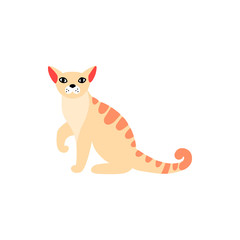 Основные RGB