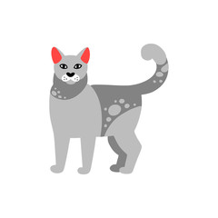 Основные RGB