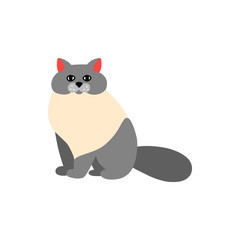 Основные RGB