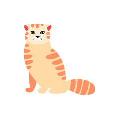 Основные RGB